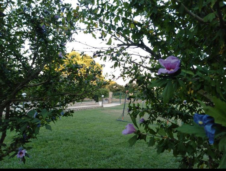 Favoloso Appartamento In Villa Monterosi Exteriér fotografie