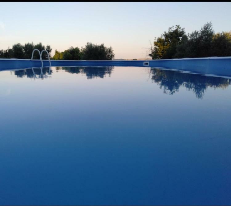 Favoloso Appartamento In Villa Monterosi Exteriér fotografie