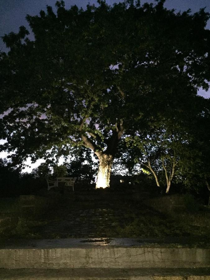 Favoloso Appartamento In Villa Monterosi Exteriér fotografie