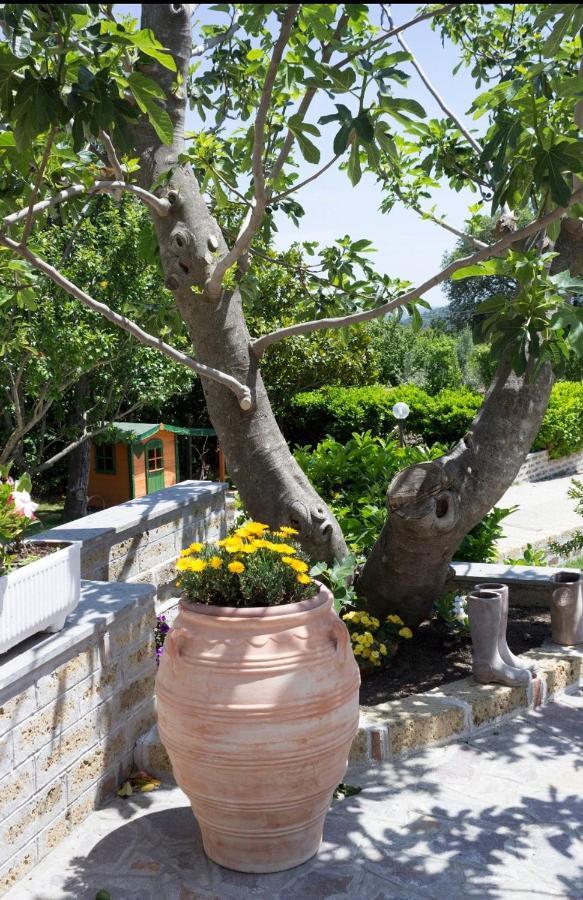 Favoloso Appartamento In Villa Monterosi Exteriér fotografie